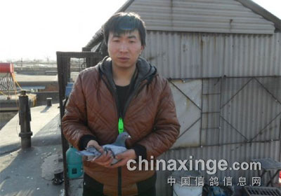 ��ɽ��Ԫ��������ǰʮ�����(ͼ)