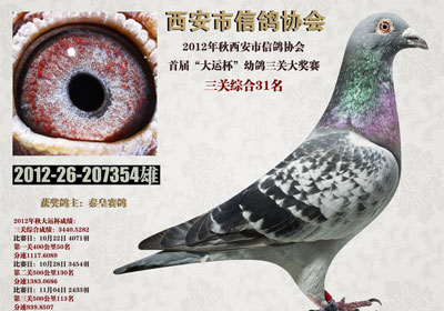 �������Ÿ�Э����˱��񽱸�����(ͼ)