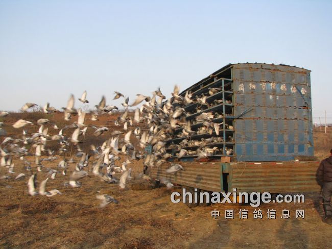 ����֮�䣺���ҹ�����ǧ��ʿ��������