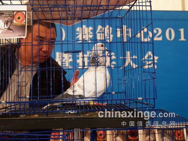 �ɶ����¹���ھ�����16��(ͼ)