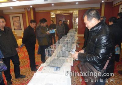 ̨�������׿�Ĺ��������о��и�չ(ͼ)