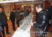 ̨�������׿�Ĺ��������о��и�չ(ͼ)