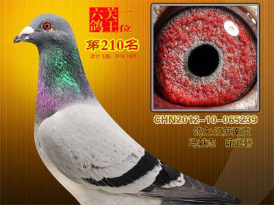 �������������������ǰ��������(ͼ)