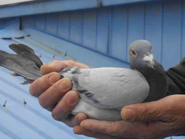 �Ϻ���������400����ھ�������(ͼ)