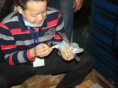 �����ǹ��������麣��������(ͼ)