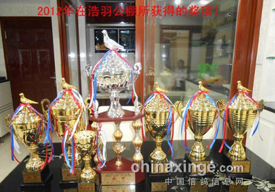 ר�ú���������Ǿ�(ͼ)