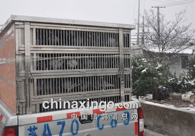 ���������߹�ǧ���293���׸��ӳٿ���(ͼ)