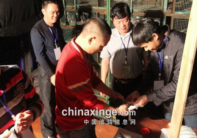 ��������Ҭ������500�������(ͼ)