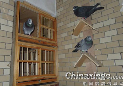 ����̨����(ͼ)