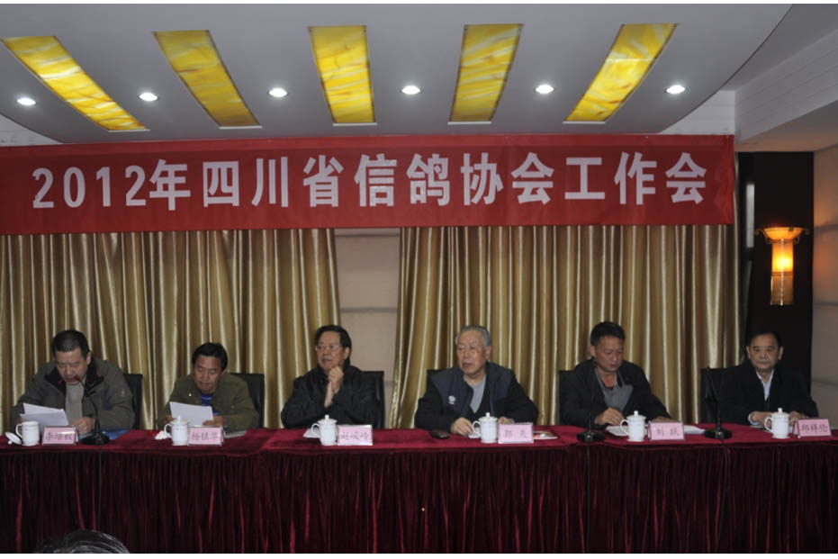 �Ĵ�ʡ�Ÿ�Э���ٿ�2012�깤������