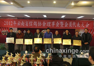 2012�������Ÿ����»��������ٿ�(ͼ)