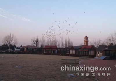 �����������վ�ھ�����