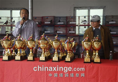 ���ݺ����︽�������Ứ��(ͼ)