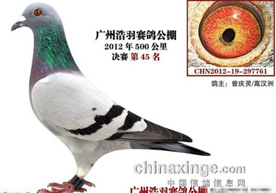 ����β�г�������ǿ��������(ͼ)