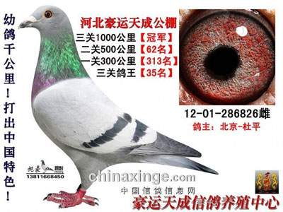 ������ɹ���ǧ�������ǰʮ������(ͼ)