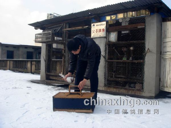 СѩСѵ10����(ͼ)