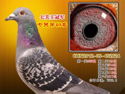 ����������߹���ǰʮλ����(ͼ)