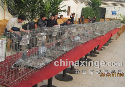 �������ǿ��������Ứ��(ͼ)