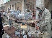 �����һ��(ͼ)