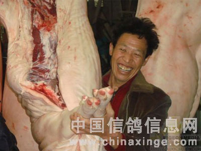 ����������ɫ������ǰ����������һͷ