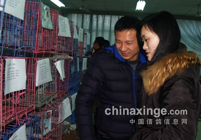 �������������佱�������ٿ�(ͼ)