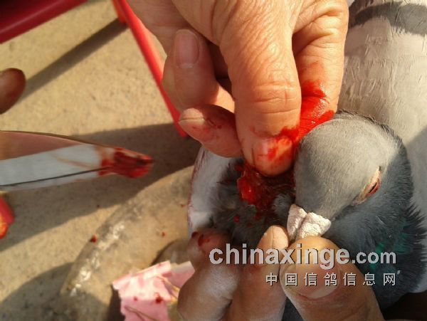 ��������θ�����������(ͼ)