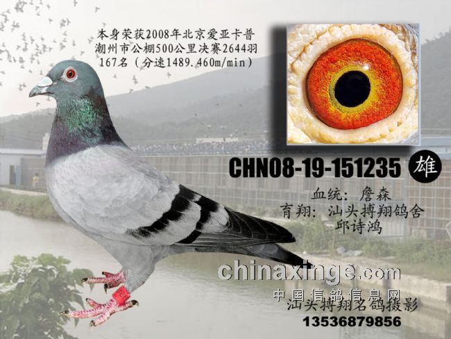 �ҵ�����֮·��������˵��(ͼ)