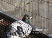 д�����롰�𲻻���