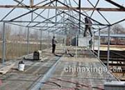 �������ɹ�﹫���ڽ�����(ͼ)