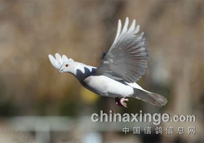 �ð���Ϊ�ҴȺ� 