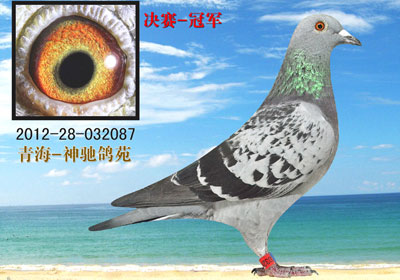 �����ǹ����������������ǰ10��(ͼ)