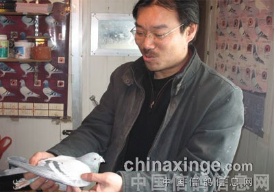 �����½��������Ʒ���(ͼ��)