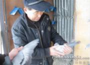 �߷���ǰ��������(ͼ)