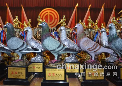 �żҿ��������2012����Ứ��(ͼ)