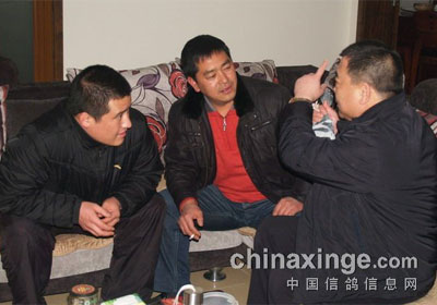 ŷծΣŷŸչᶫɶ(ͼ)