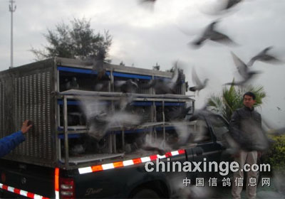 ����ʡ������ݸ����˫�ظ����ɼ�(ͼ)