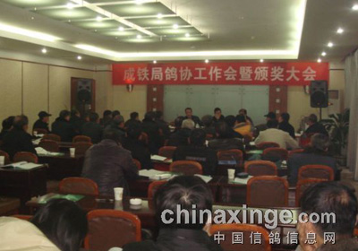 �����ָ�Э12��ȹ������߰佱��(ͼ)