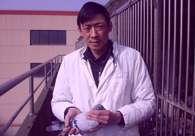 �ɷ��Ϻ��ھ��������ɻ�(ͼ)