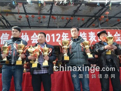 �ɶ���Ȫ���һ��40��α���(ͼ)