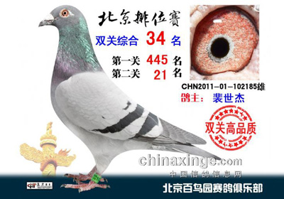 ����˫����λ�����һ�ڻ��Ⱦ�����