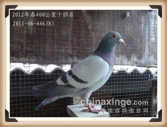 �ھ����⿿ʵ����Ҫ������