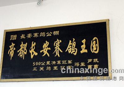 ����������һ������������(ͼ)