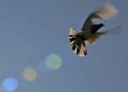 �����о������ӿ�����������(ͼ)