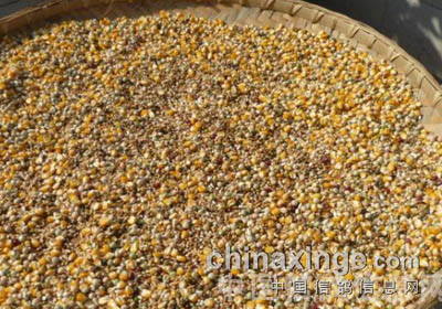 �ڼ��Լ˵����