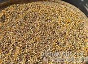 �ڼ��Լ˵����