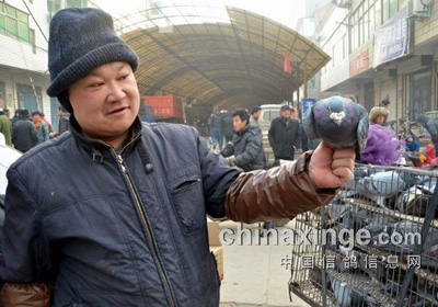 ����������(ͼ)