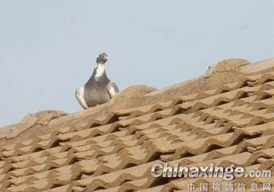 80����סũ�� ������(ͼ)