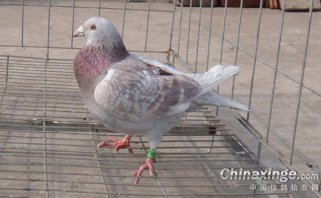 ���ϸ�����ȡ���ľ���������¼(ͼ)