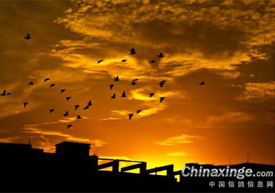 ��ĺ����(ͼ)