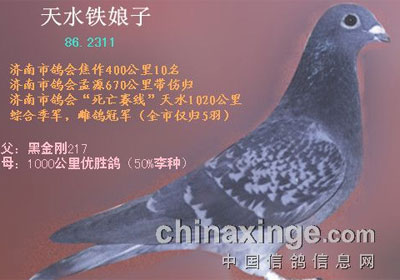 理直气壮提国血